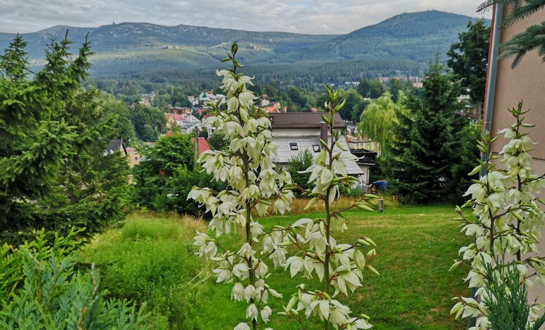 Willa Mona Bed & Breakfast Szklarska Poreba Exterior photo